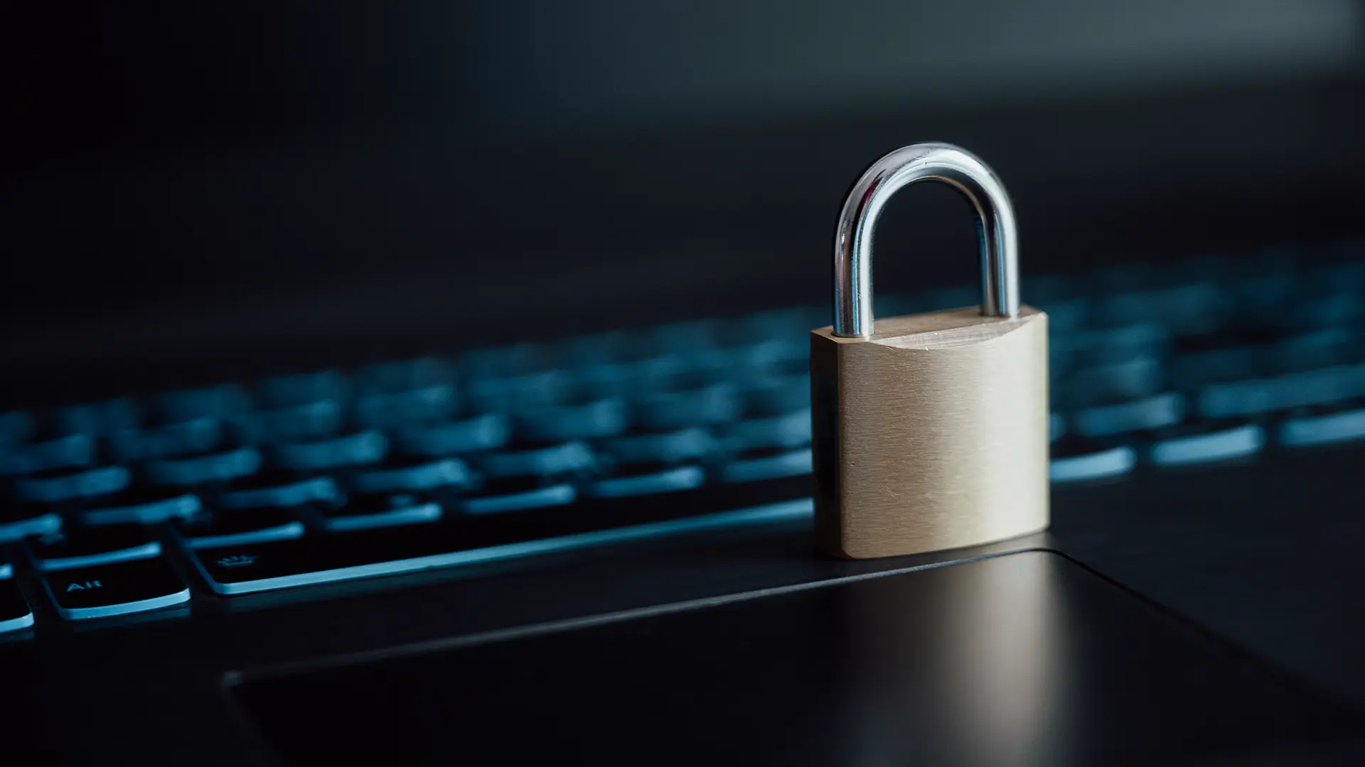 One Year Free SSL