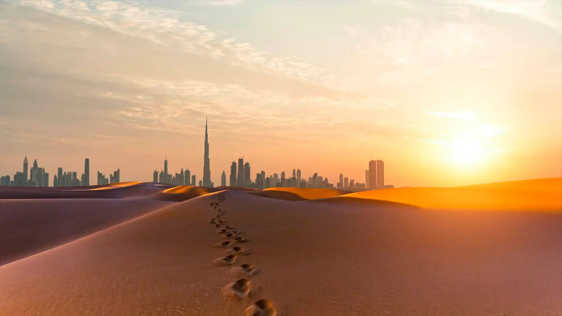 Our Experience at Arts DAO Fest 2.0 Dubai